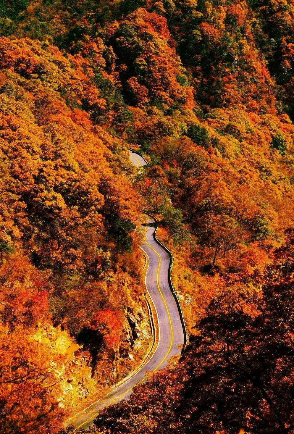 【自驾游】大别山最美公路，穿越中国红岭公路“马丁公路”，探秘原始森林天堂寨（不限车型）