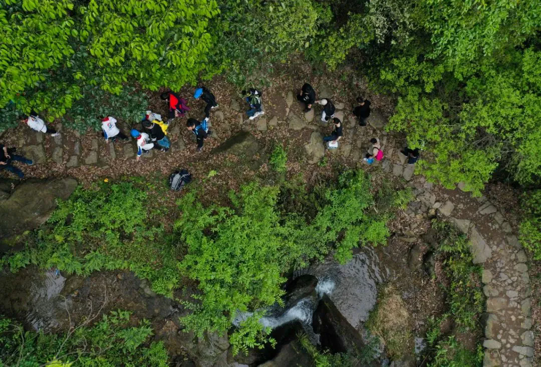 【梅坞古道】徒步会稽山梅坞古道，寻梅坞十九涧