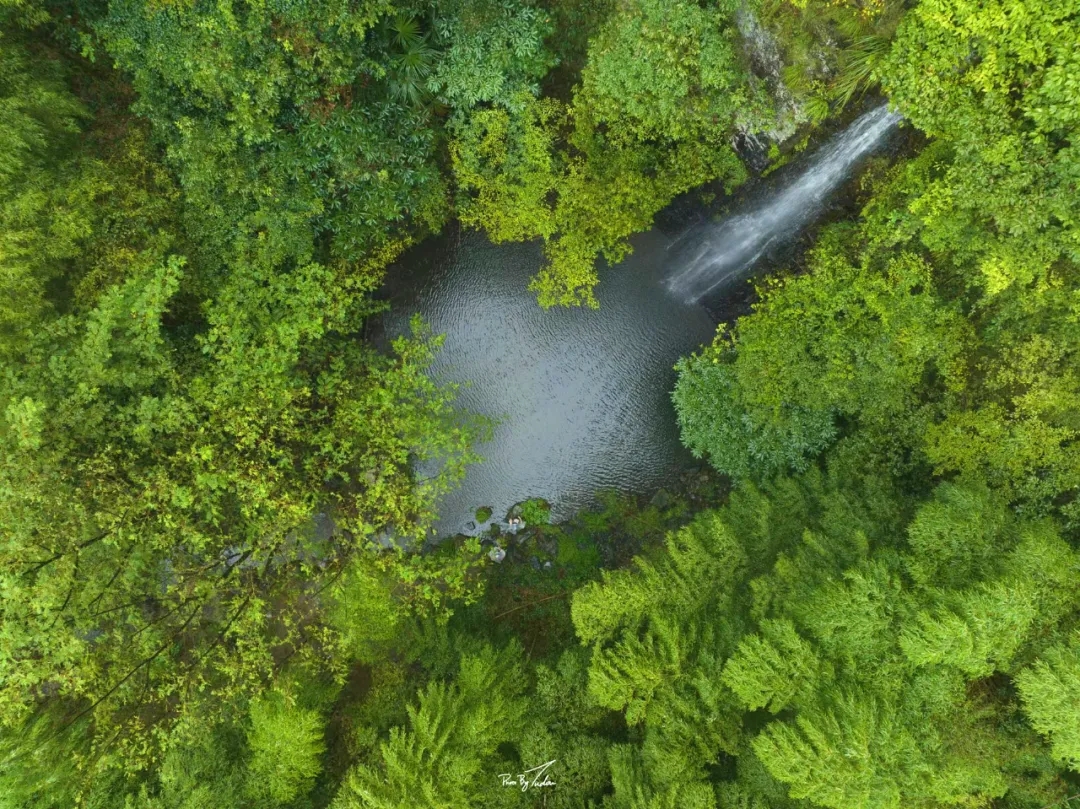 【四瀑探幽】穿越原始峡谷，野爬安吉菖蒲谷*五瀑飞流，碧潭踏溪，看大自然之神奇造化！