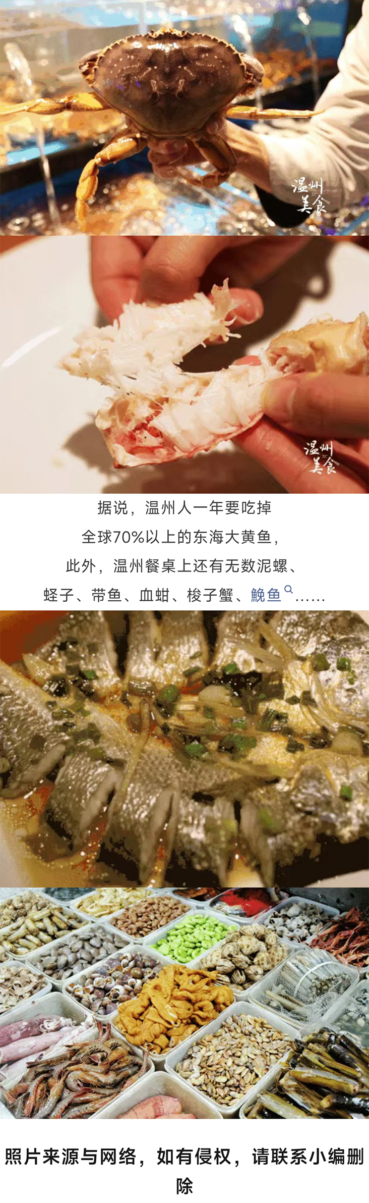 自驾苍南_09.jpg