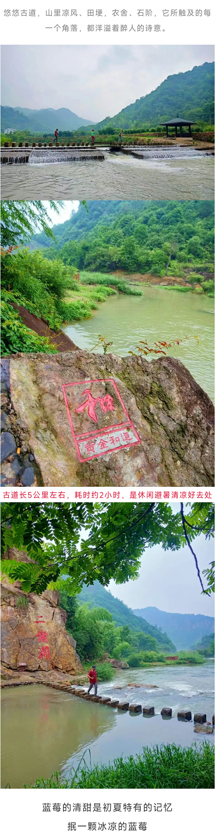 黄金和道_02.jpg