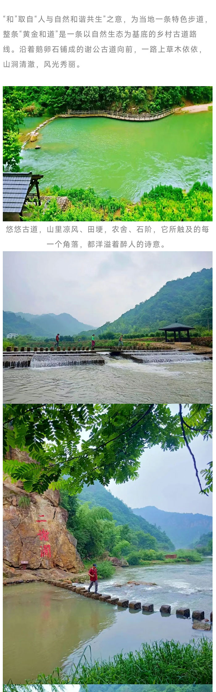 黄金和道_02.jpg
