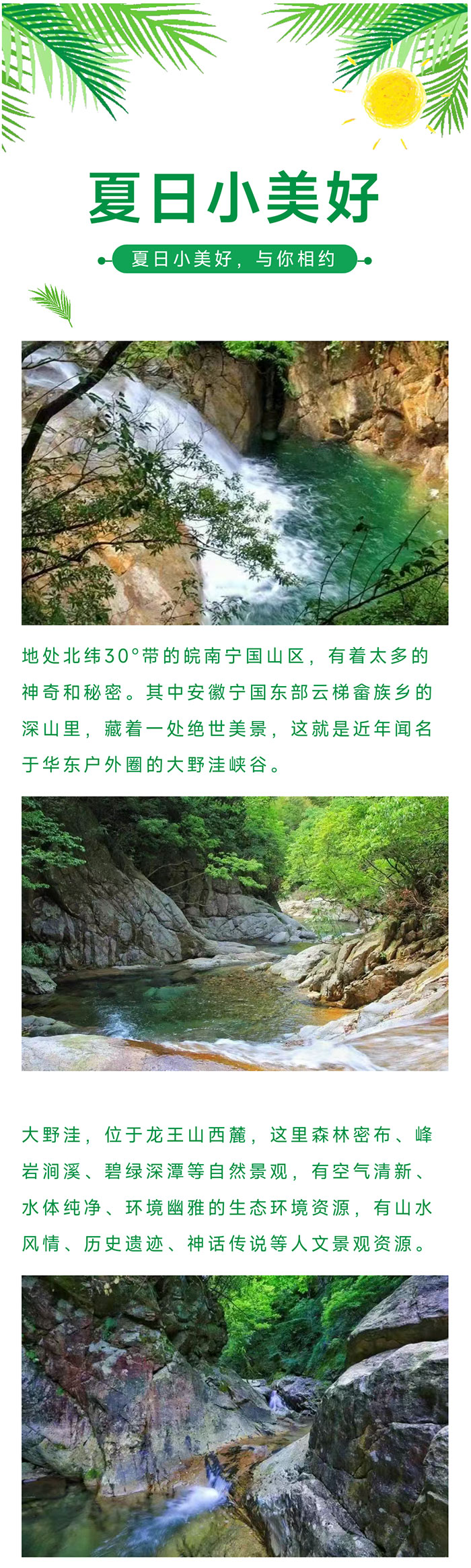 大野洼_01.jpg