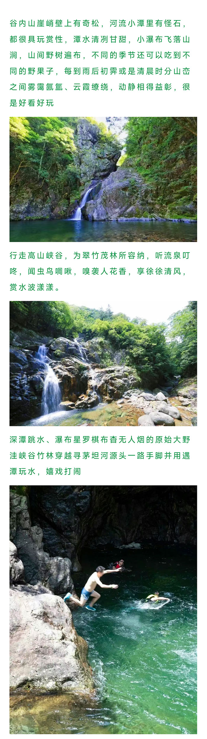 大野洼_02.jpg