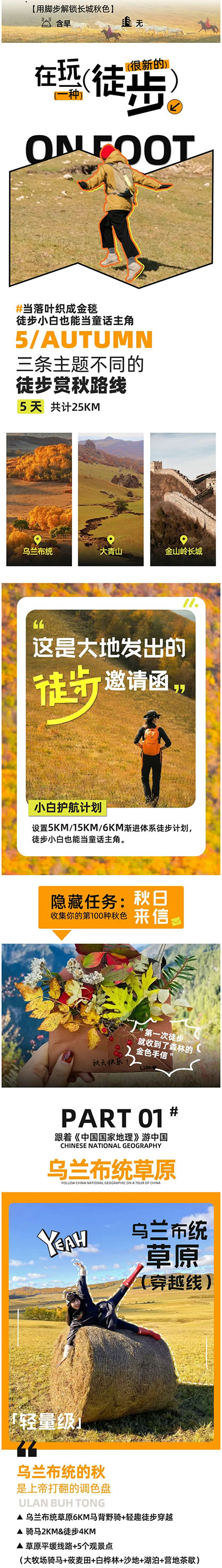 追秋计划5日_02.jpg