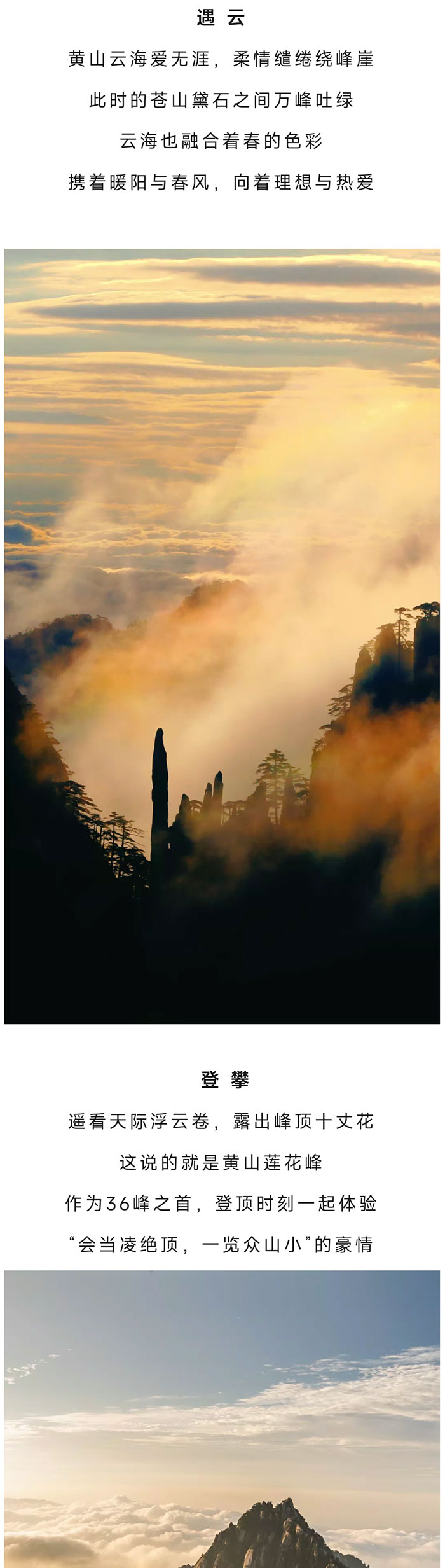 黄山_03.jpg