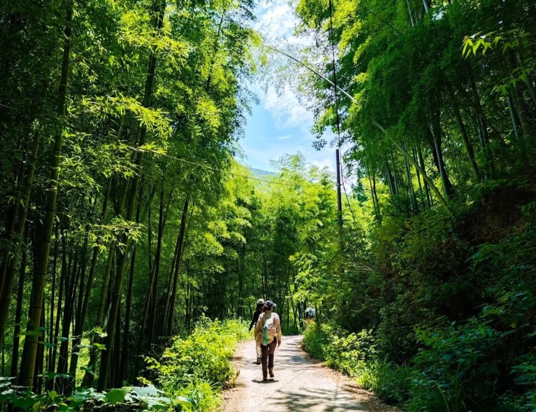 【神仙峡谷】穿越原始大峡谷，手脚并用穿溪而上，铁索攀附，脚蹬过河，看奇峰怪石，享独特攀爬体验！